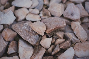 Rocks 