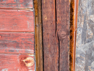 Obraz premium Old oriented strand board (OSB), texture, aged wall