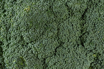 Broccoli inflorescence fresh close up