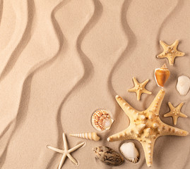 Fototapeta na wymiar sea star and shelfish on the rippled sand of tropical exotic beach. Background with copy space.