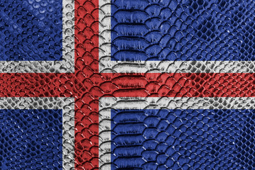 Fototapeta na wymiar Icelandic flag on reptile skin