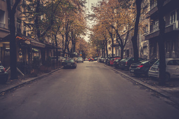 Fototapeta na wymiar Nightfall in city street with row of trees and cars in parking area, Belgrade, Serbia.