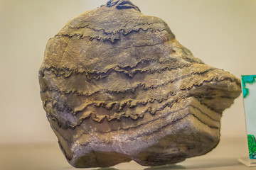 Folded rock from mining for education. Folds in rocks vary in size from microscopic crinkles to...