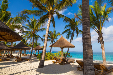 Ocean coast of Zanzibar island. Village Kendwa. Tanzania. Africa.