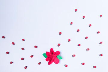 Lady bugs, red flower on the white flower. Copy space. Place for text and design