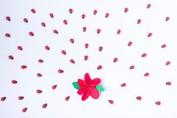 Lady bugs, red flower on the white flower