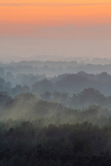 Mystical view from top on forest under haze at early morning. Mist among layers from tree silhouettes in taiga under warm predawn sky. Morning atmospheric minimalistic landscape of majestic nature.