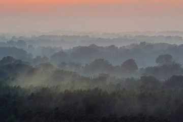 Fototapeta na wymiar Mystical view from top on forest under haze at early morning. Mist among layers from tree silhouettes in taiga under warm predawn sky. Morning atmospheric minimalistic landscape of majestic nature.