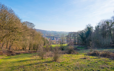 Fototapeta na wymiar Rural hilly landscape with trees below a blue sky in sunlight in winter