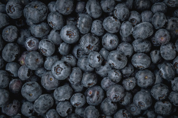 Blueberries closeup