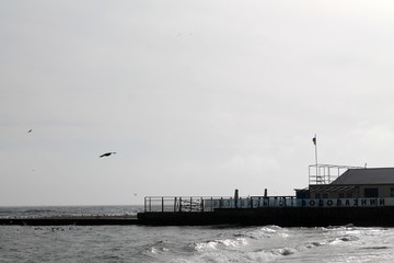  Ukraine. Sunset on the Odessa Embankment. Black and white photo. (Recreational Diving Center)
