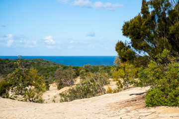 Fototapeta na wymiar Fraser Island, Australia