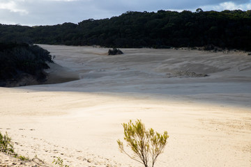 Fraser Island, Australia