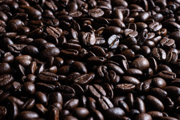 Coffee beans freshly roasted