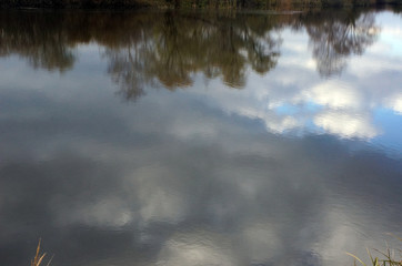 reflection of trees in the lake