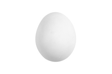 white egg isolated image