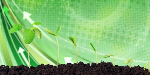 Growth of new life on  background