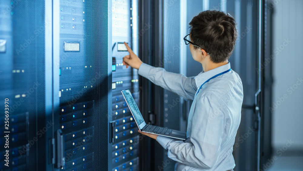 Poster  In the Modern Data Center: IT Engineer Standing Beside Open Server Rack Cabinets, Does Wireless Maintenance and Diagnostics Procedure with a Laptop. He Pushes Button.