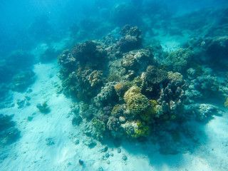 Fototapeta na wymiar Great barrier reef, Australia