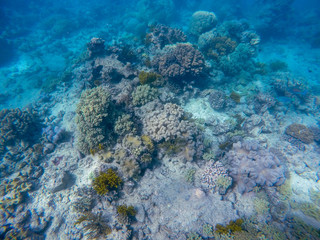 Naklejka na ściany i meble Great barrier reef, Australia