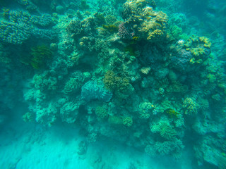 Great barrier reef, Australia