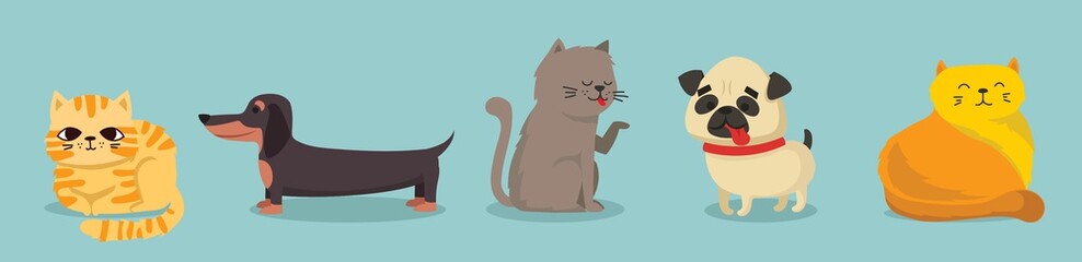 Vector illustration set of cute and funny cartoon pet characters. Different breed of dogs and cats in the flat style 