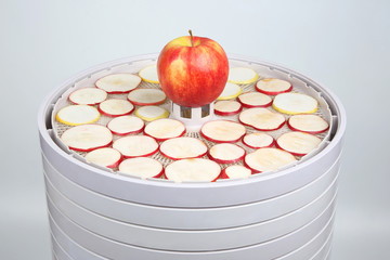 Fresh Apple slices on the trays of a special electrical dryer for fruits