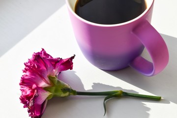 Bright purple colours mug of coffee next to a flower. March 8. Postcard on March 8. Valentine's day card. Women's day. Romantic card. Morning coffee. Women's style.