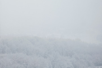 Fototapeta na wymiar Winter landscape, snowstorm, trees under the snow