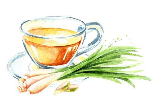 Herbal tea with lemongrass. Watercolor hand drawn illustration  isolated on white background