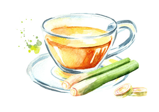Herbal tea with lemongrass. Watercolor hand drawn illustration, isolated on white background
