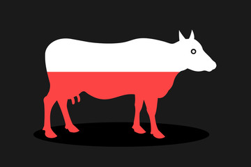 Polish cow from Poland - animal and cattle in red and white colors. Vector illustration