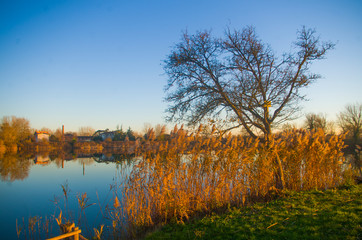 sunset on the lake with reflections in the blue water