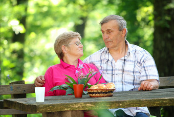 senior couple having a picnic in park