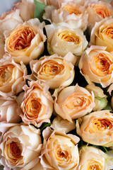 garden rose, rose, bouquet, flower, roses, pink, flowers, nature, wedding, yellow, floral, love, white, beautiful, beauty, blossom, petal, bunch, romance, bloom, gift, romantic, plant, petals, color, 