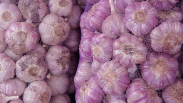 fresh garlic on the market