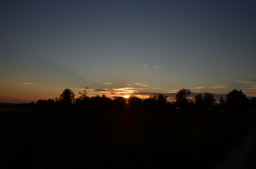 Beautiful summer sunset on the background of tree silhouettes and blue sky with clouds