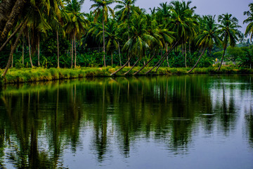 Fototapeta na wymiar lakes and ponds in the east godavari district of andhra pradesh, india
