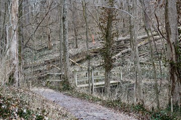 A old wood bridge though the bare branches of the forest.