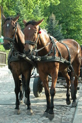 Kazimierz Dolny © M. G. Koperkiewicz