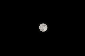 Fototapeta premium Luna llena