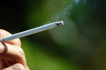 Female fingers smoking cigarette on a green background