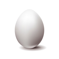 White chicken egg on white background
