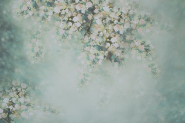 Spring photo background ideal for studio photography especially for children, family, maternity