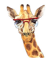 Watercolor portrait of a giraffe © Ikari Ookami