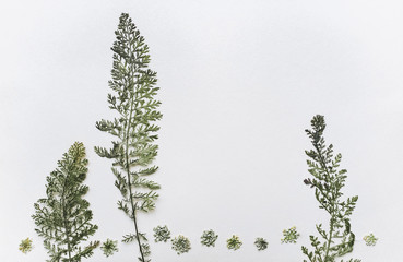 Dry branches of plants on a gray background resemble a landscape with trees. Herbarium composition, copy space, minimalism.