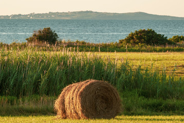 Hay bale with Cuttyhunk Island in background