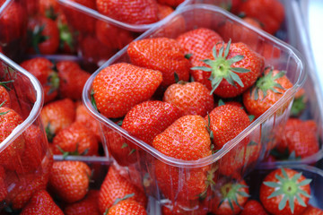 Baskets of fresh delicious Strawberries in store, closeup.