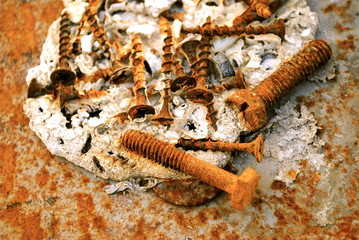 rusty screw and nut