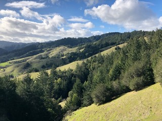 Obraz premium California Rolling Hill Landscape